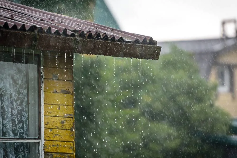 Buat Penyerapan Air Hujan, salah satu Cara Menjaga Kebersihan Pekarangan Rumah