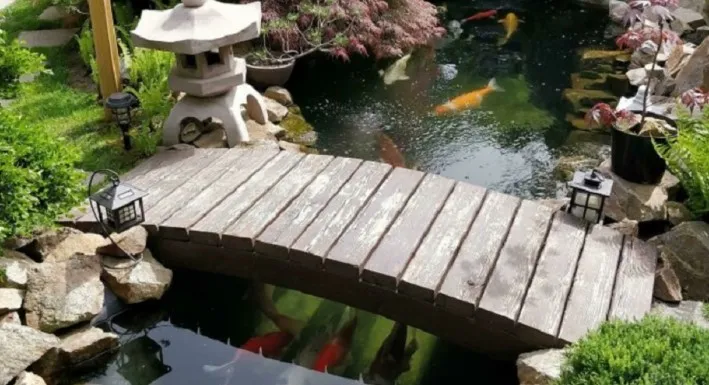 Kolam Ikan Mini Di Teras Rumah dengan Jembatan
