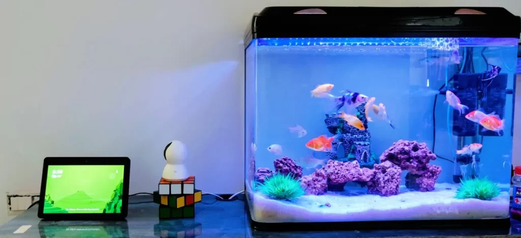 Aquarium Mini di Kamar Tidur dengan Tema Klasik