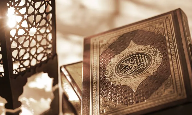 Mitos Kupu Kupu Masuk Kamar Tidur Dalam Pandangan Islam