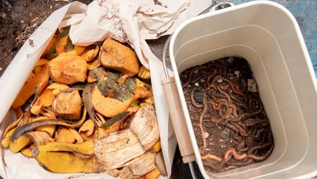 Cara Mengelola Sampah Organik di Rumah 09