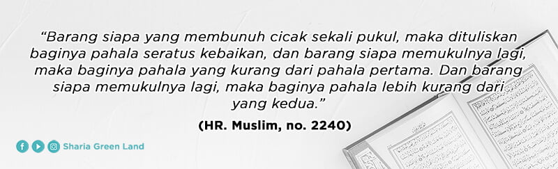 (HR. Muslim, no. 2240) Cara Mengusir Cicak