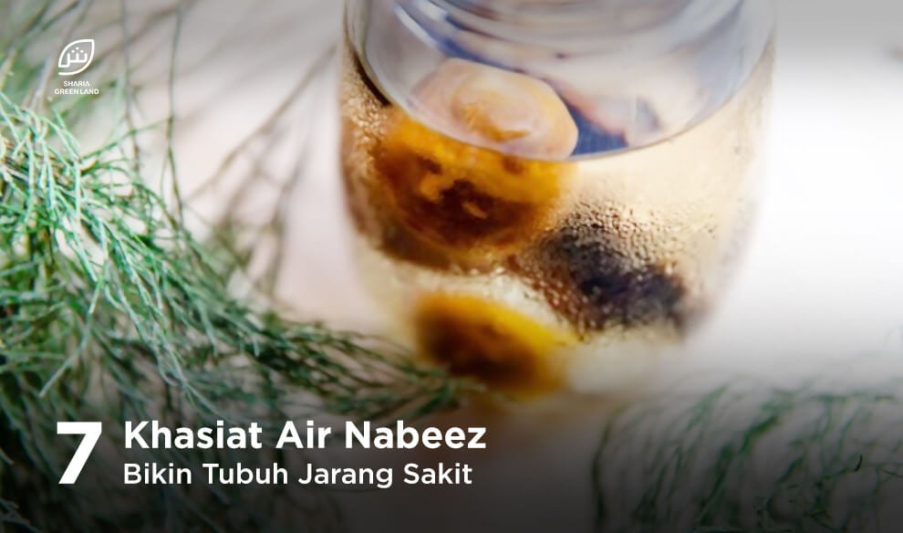 Khasiat Air Nabeez